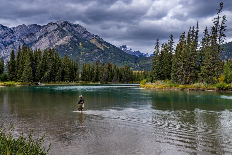 Rockies